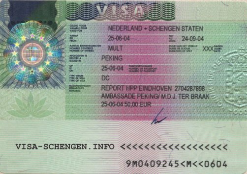 Visa Schingen